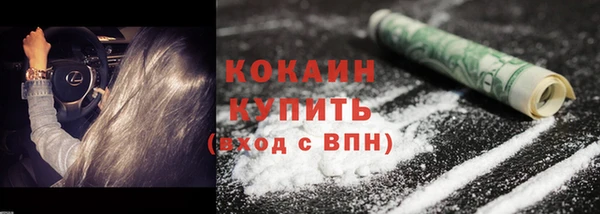 стаф Коряжма