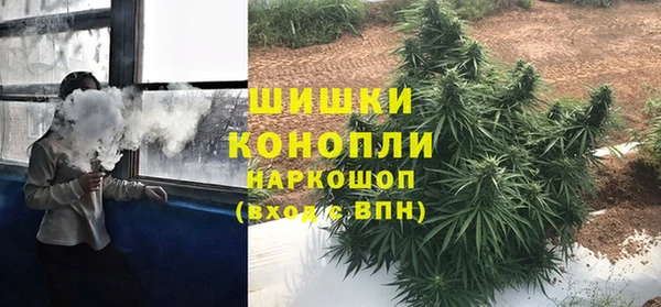 гидра Костерёво