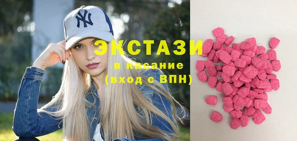 гидра Костерёво