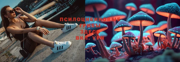 ECSTASY Красноперекопск