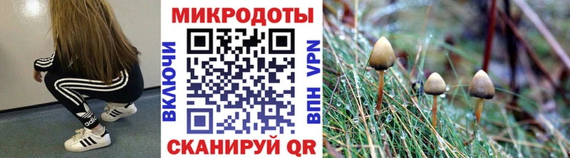 Галлюциногенные грибы ЛСД Мценск